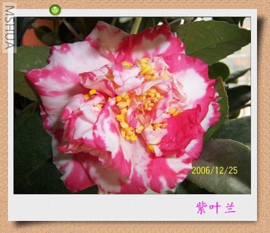 2006-12-25 002.jpg